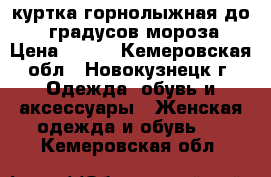 куртка горнолыжная до 20 градусов мороза › Цена ­ 500 - Кемеровская обл., Новокузнецк г. Одежда, обувь и аксессуары » Женская одежда и обувь   . Кемеровская обл.